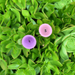 Menstruasie Koppie - Image 8